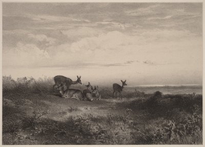  da Karl Bodmer
