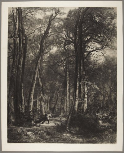  da Karl Bodmer
