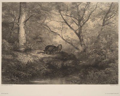  da Karl Bodmer