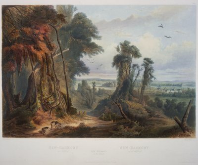 New Harmony sul Wabash da Karl Bodmer