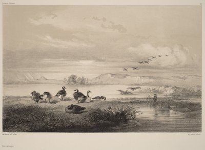  da Karl Bodmer