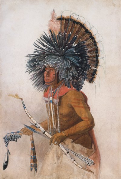Pehriska-Ruhpa, guerriero Hidatsa, in costume della Danza del Cane da Karl Bodmer