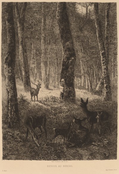 Ritorno al nido da Karl Bodmer