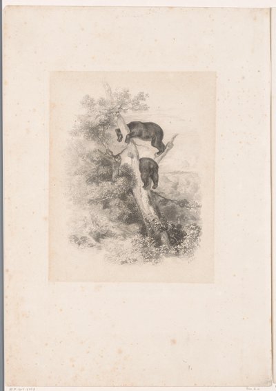 Due orsi su un albero (Landschappen met dieren) da Karl Bodmer