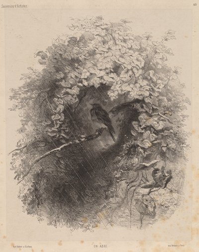 Un rifugio da Karl Bodmer