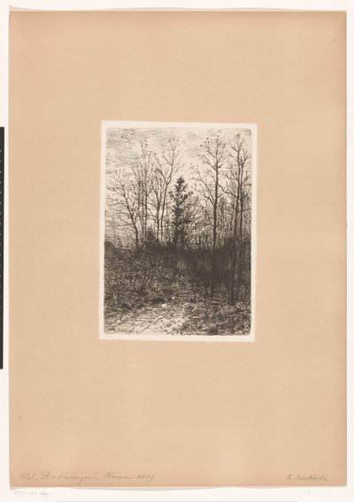 Paesaggio boschivo da Karl Buchholz