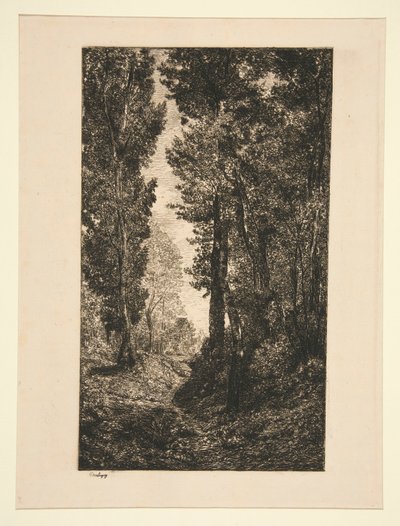 Route montante a Auvers da Karl Daubigny