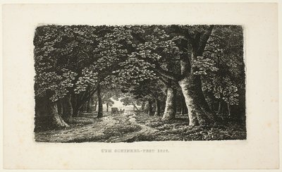 Sentiero nel bosco con una carrozza da Karl Friedrich Schinkel