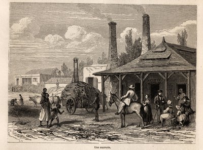 Una fabbrica di zucchero della Riviere du Rempart, a Mauritius. Disegno di Karl Girardet per illustrare il soggiorno di Alfred Verney a Mauritius nel 1861. Incisione in "Le tour du monde", a cura di Edouard Charton da Karl Girardet