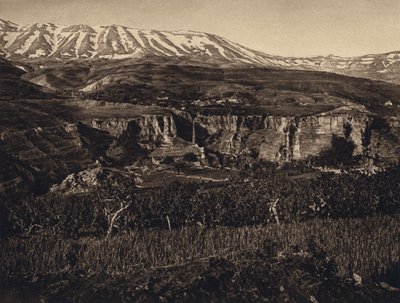 Libano, paesaggio da Karl Grober