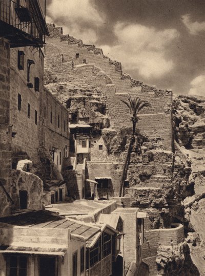 Mar Saba, Palma di San Saba da Karl Grober