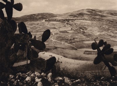 Samaria, Ippodromo di Erode da Karl Grober