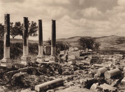 Samaria, Rovine del Palazzo di Erode da Karl Grober