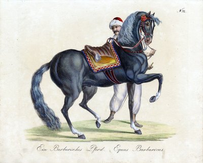  da Karl Joseph Brodtmann
