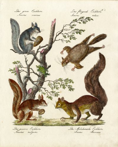  da Karl Joseph Brodtmann