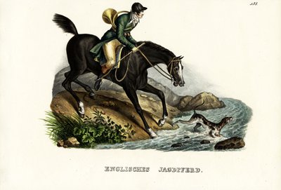 Cavallo da caccia inglese, 1824 da Karl Joseph Brodtmann