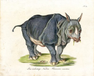  da Karl Joseph Brodtmann