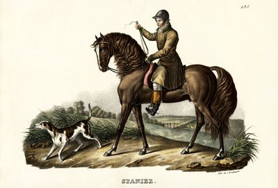 Cavallo cacciatore spagnolo, 1824 da Karl Joseph Brodtmann