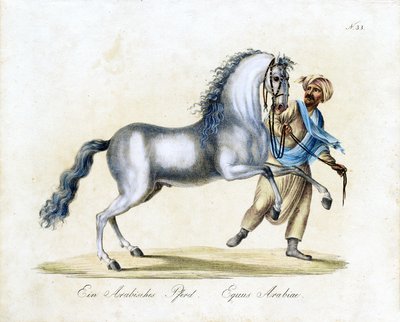  da Karl Joseph Brodtmann