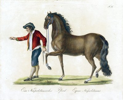  da Karl Joseph Brodtmann