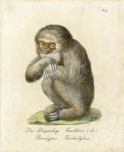  da Karl Joseph Brodtmann