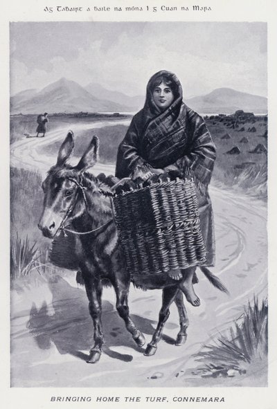 Portare a Casa la Torba, Connemara da Karl Karlovich Piratsky