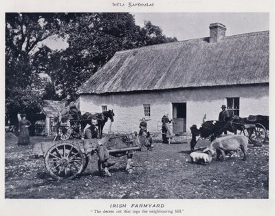 Cortile di una fattoria irlandese da Karl Karlovich Piratsky