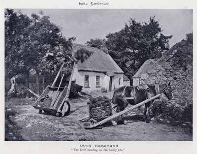 Cortile di Fattoria Irlandese da Karl Karlovich Piratsky