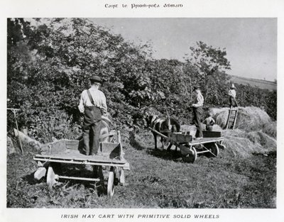 Carro di fieno irlandese con ruote solide primitive da Karl Karlovich Piratsky
