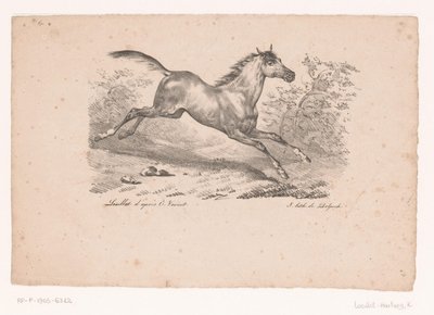 Cavallo al galoppo nel paesaggio da Karl Loeillot Hartwig