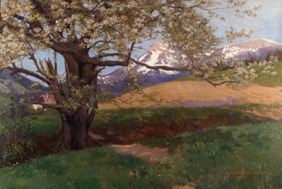 Ciliegio in fiore da Karl Maria Schuster