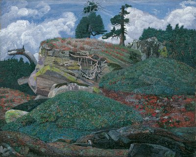 Paesaggio con rocce da Karl Mediz