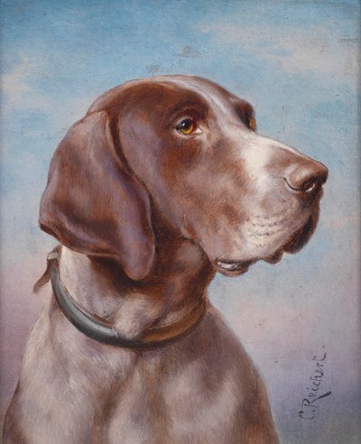 Ritratto di cane da Karl Reichert