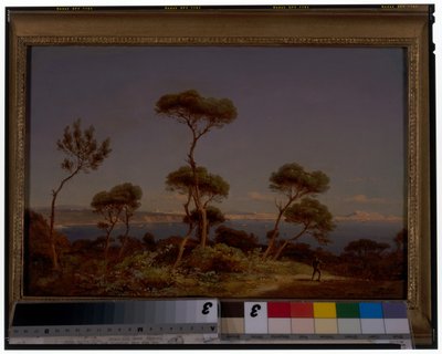 Un ampio paesaggio costiero da Karl Robert Kummer