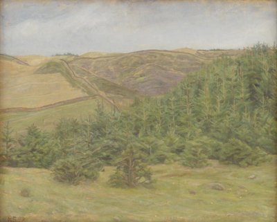 Colline di Svanninge, Fionia da Karl Schou