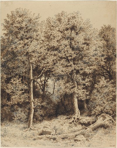 Boschetto di Alberi da Karl Theodor Reiffenstein