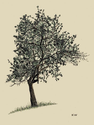 Albero deciduo 1924 da Karl Wiener