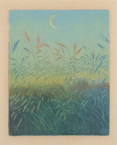 Campo di grano maturo: sera da Karl Wilhelm Arthur Illies