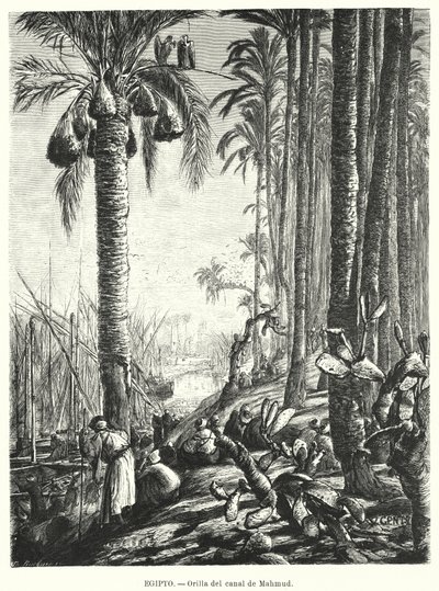 Sponde del canale Mahmoudiyah, Egitto da Karl Wilhelm Gentz