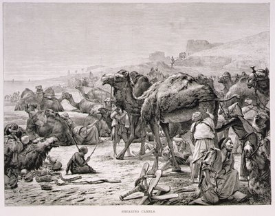 Tosatura dei cammelli da Karl Wilhelm Gentz