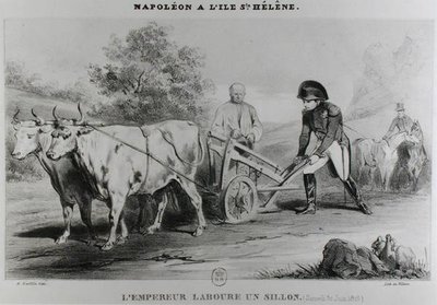 Napoleone (1769-1821) a Sant