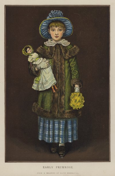 Primula precoce da Kate (after) Greenaway