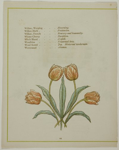 Illustrazione decorativa, da Il linguaggio illuminato dei fiori da Kate Greenaway