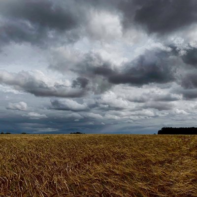 Cielo tempestoso su un raccolto di fine estate 2020 da Katha Wood