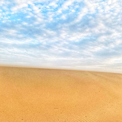 Spiaggia del deserto surreale da Katha Wood