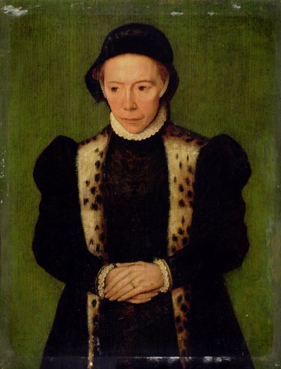 Ritratto di una donna da Katharina van Hemessen