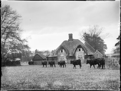 Great Hampden, Great And Little Hampden, Wycombe, Buckinghamshire da Katherine Jean Macfee