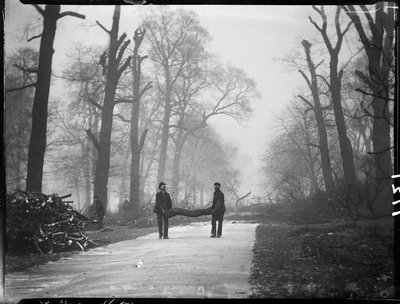 Kensington Gardens, Hyde Park, City Of Westminster, London, 26/01/1907 da Katherine Jean Macfee