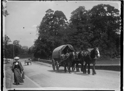 Mill Bridge, Frensham Road, Frensham, Waverley, Surrey da Katherine Jean Macfee