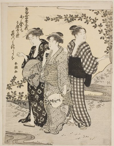 Trifogli in estate, dalla serie "Le migliori odi sui fiori delle quattro stagioni (Shuku awase, shiki no hana)" da Katsukawa Shuncho